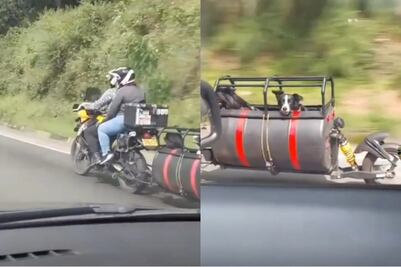 Pareja “tunea” su moto para que sus perritos puedan viajar con ellos
