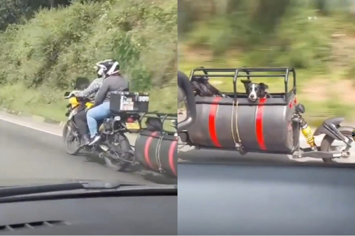 Pareja “tunea” su moto para que sus perritos puedan viajar con ellos