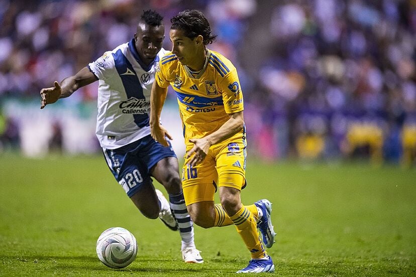 Tigres vs Puebla: dónde ver EN VIVO el partido de la Jornada 11 de la ...