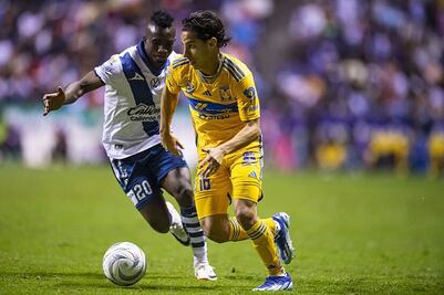 Tigres vs Puebla: dónde ver EN VIVO el partido de la Jornada 11 de la Liga MX