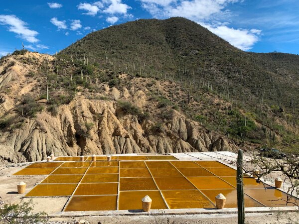 Facebook Zapotitlán Salinas