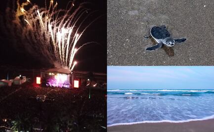 Liberación de tortugas, conciertos y más en Costa Esmeralda Fest