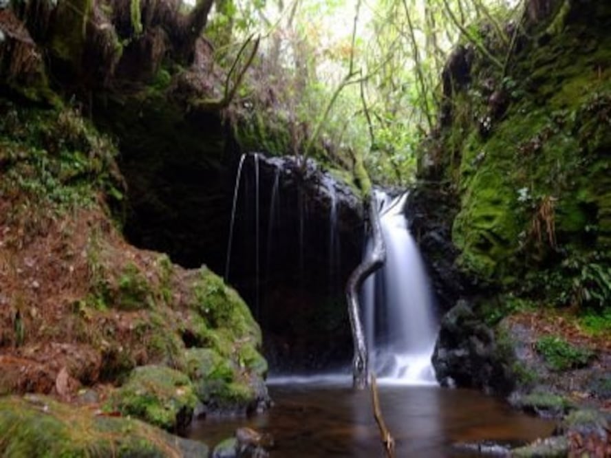 En Huauchinango hay tres hermosas cascadas que te sorprenderán | Foto: yumping