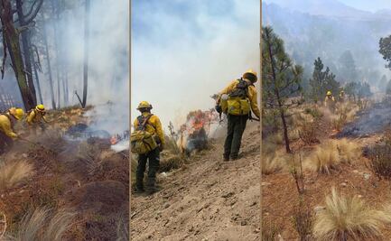 Incendio forestal en Libres está liquidado al 80%; hay otros 3 activos en Puebla