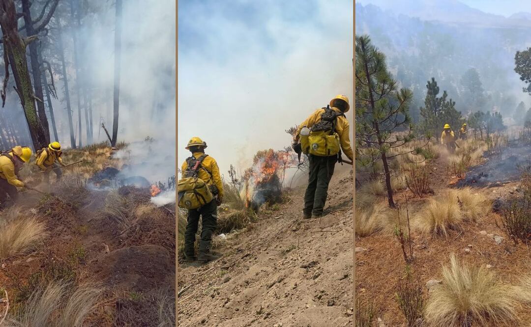 Continúan las labores para sofocar 4 incendios activos en Puebla | Foto: Gobierno del estado