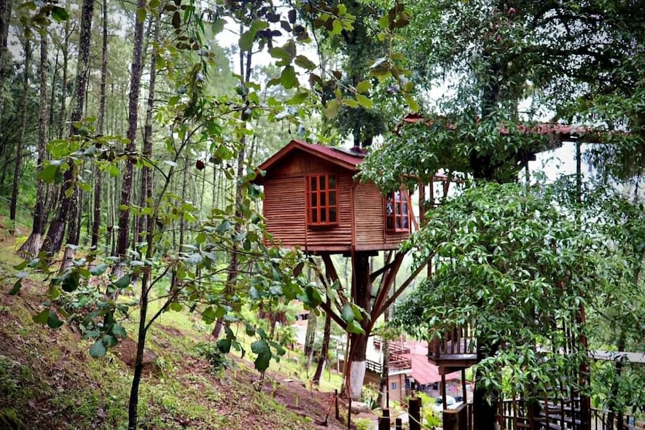 Foto: Kali-Tree Cabañas