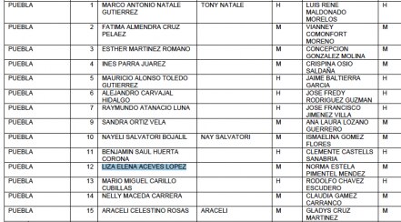 Morena le quita candidatura a Sánchez Galindo, va Liza Aceves por diputación