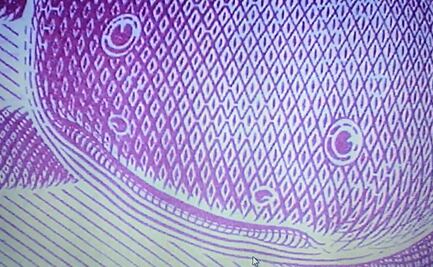Al microscopio, así se ven los nuevos billetes mexicanos