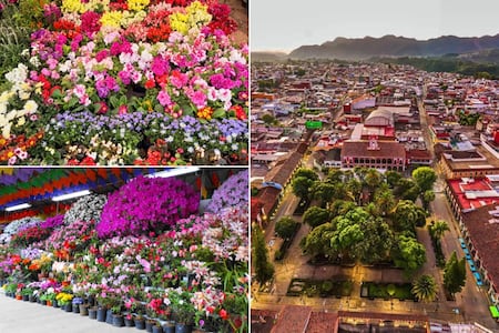 El Pueblo Mágico lleno de flores y plantas económicas que casi nadie conoce