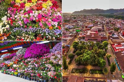 El Pueblo Mágico lleno de flores y plantas económicas que casi nadie conoce