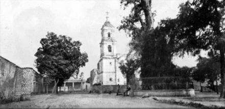 El Árbol de la Noche Triste: el ahuehuete que vendieron a extranjeros