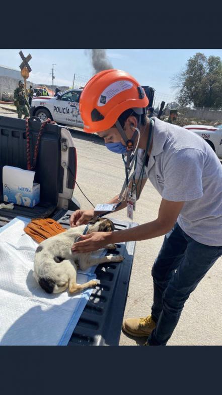 "Esponjoso” uno de los sobrevivientes de la explosión de Xochimehuacán