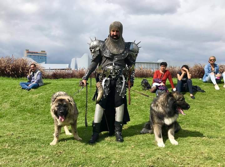 El 27 y 28 de abril se llevará a cabo el Dog Fest Cholula | Facebook Dog Fest