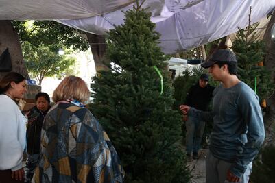 Cómo llegar a la Expo Navideña Puebla 2025 para comprar árbol y adornos baratos