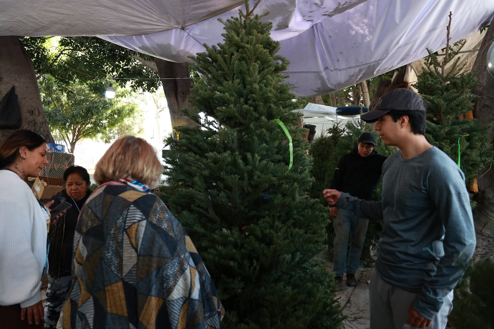 Llega fácilmente a la Expo Navideña Puebla 2025 | Foto: EsImagen