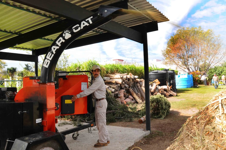 No tires tu árbol, la BUAP lo recicla | Foto: Buap