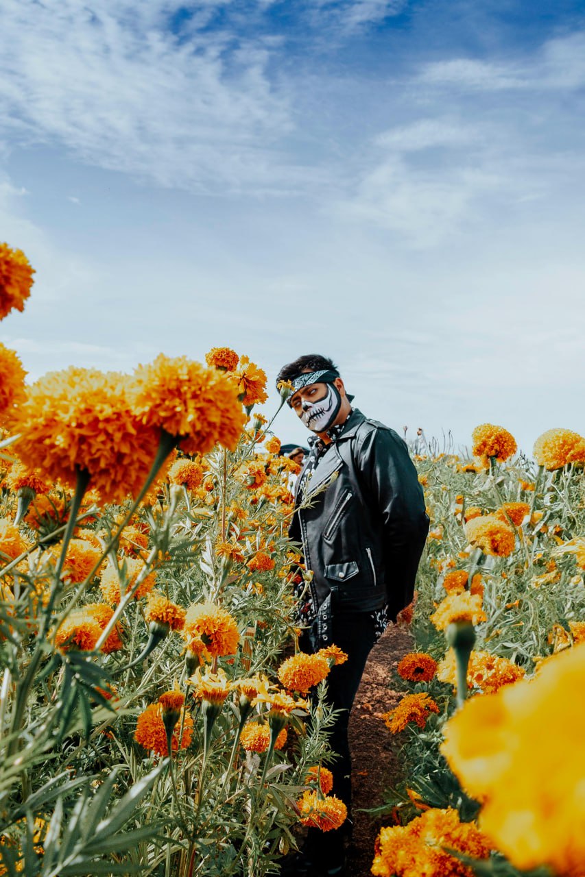 Foto: Pexels