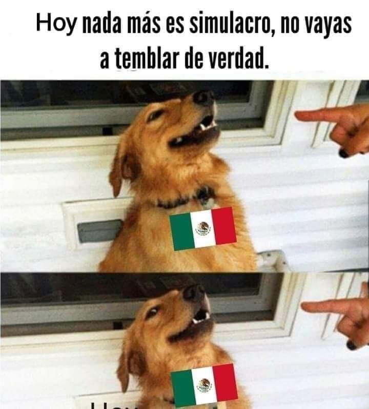 Foto: Redes sociales