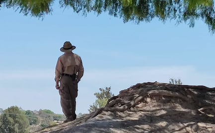 Africam Safari. Se buscan Guardianes Salvajes para ayudar a los animales en peligro de extinción