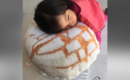 Duerme rodeado de pancito: ya llegaron las almohaconchas