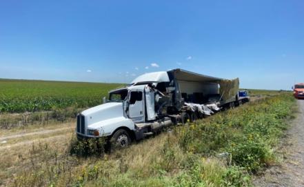 Choca tráiler que transportaba cuatro toneladas de perros y gatos muertos en Tamaulipas