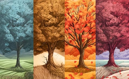 ¿Qué son y cómo funcionan las cabañuelas?