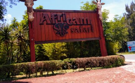 ¡Caos en Africam Safari! Camioneta de valores chocó y dejó dos heridos