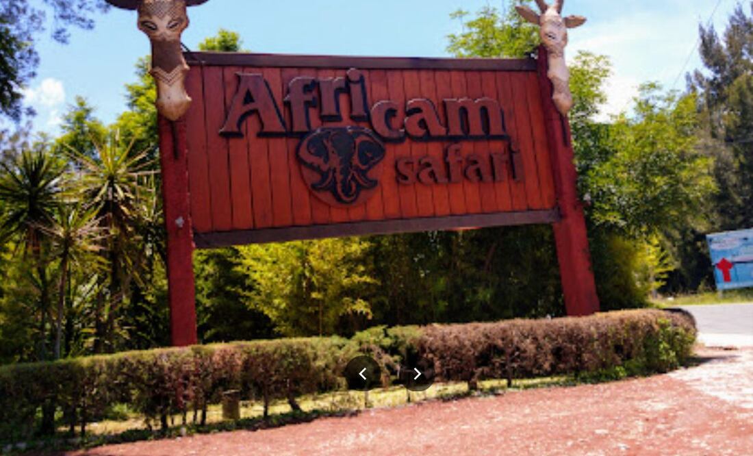 Un aparatoso choque entre una camioneta de valores y vehículos particulares desató el caos en la entrada de Africam Safari | Foto: Google Maps