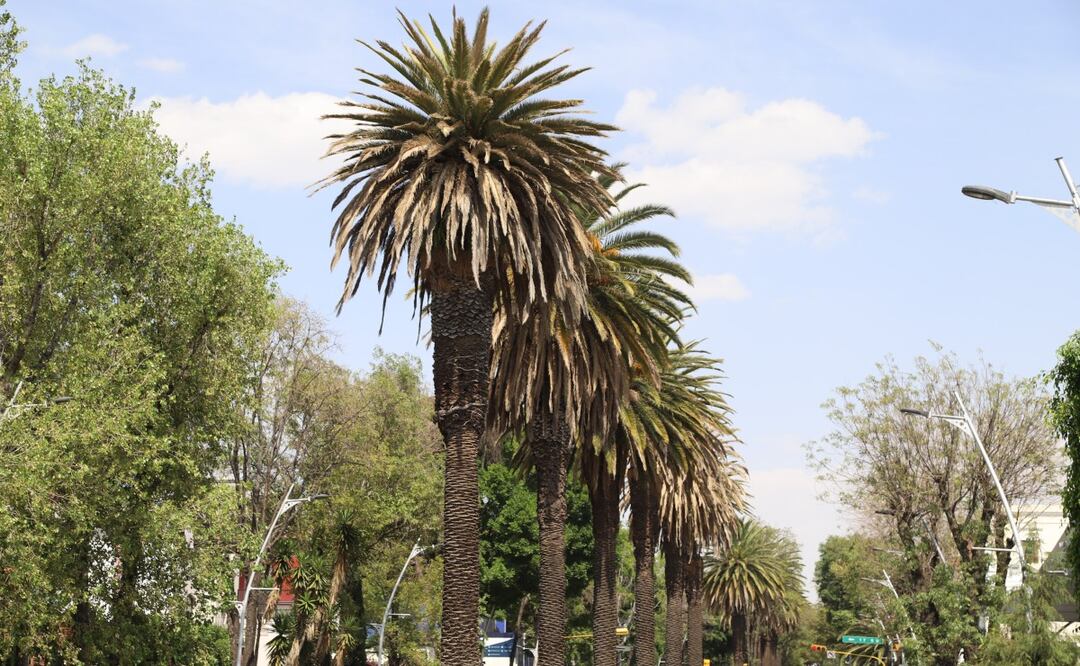 FOTO: Agencia Es Imagen para El Universal Puebla