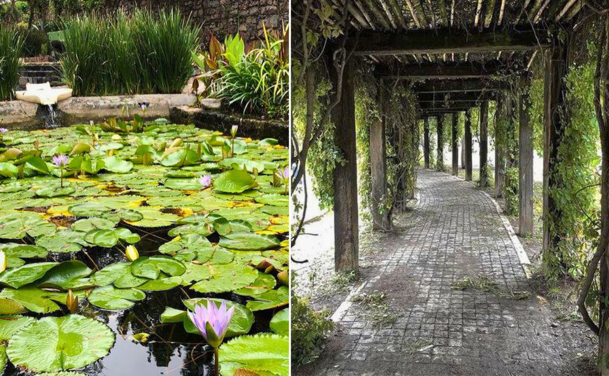 En los parques públicos de Puebla hay lugares fantásticos que quizá no conozcas | Foto: Instagram Parques Puebla