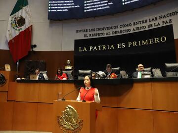 Bienestar animal será una realidad en México: Liz Sánchez