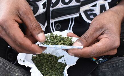 Activistas gestionan permisos para siembra y consumo personal de marihuana 