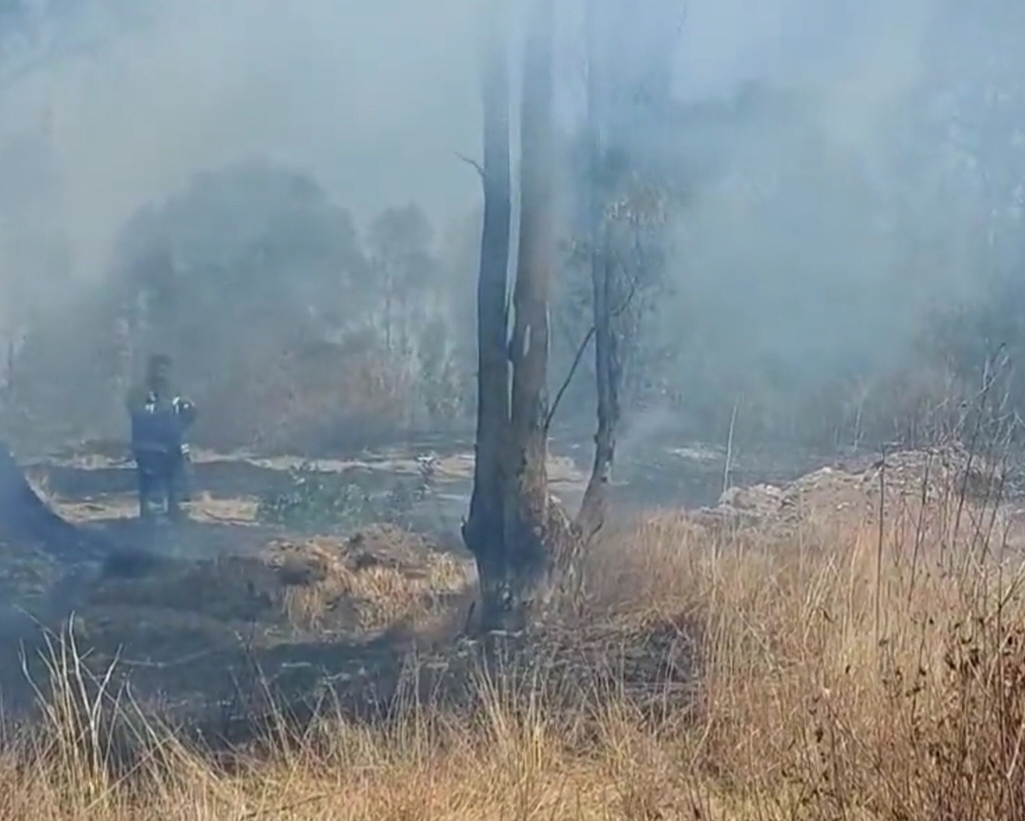Causa alarma incendio en las faldas del cerro de Loreto