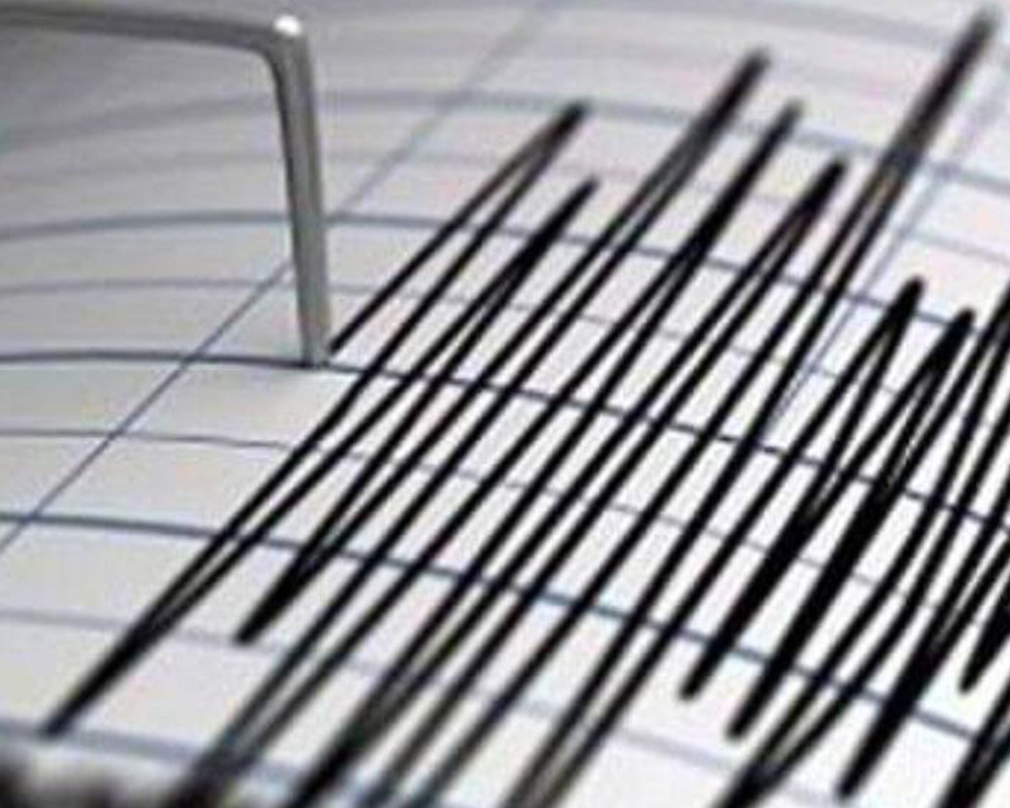 Actualmente sólo 47 municipios en Puebla tienen alerta sísmica |Foto: Sismológico Nacional