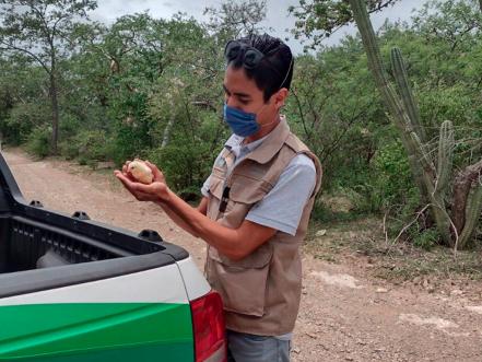 Hallan tiradero de pollitos en Coxcatlán