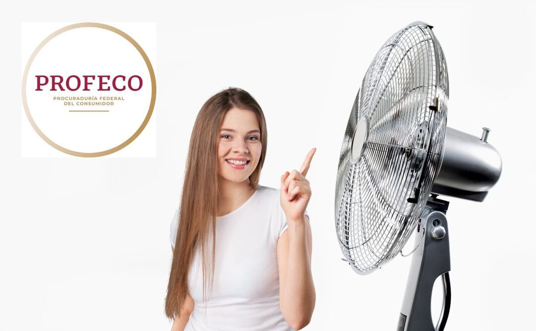 Checa cuál fue el ventilador mejor evaluado por Profeco / Foto: Hecha con Canvas