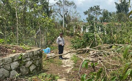 Detectan tala clandestina en La Calera y zona de la Malinche