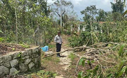 Detectan tala clandestina en La Calera y zona de la Malinche
