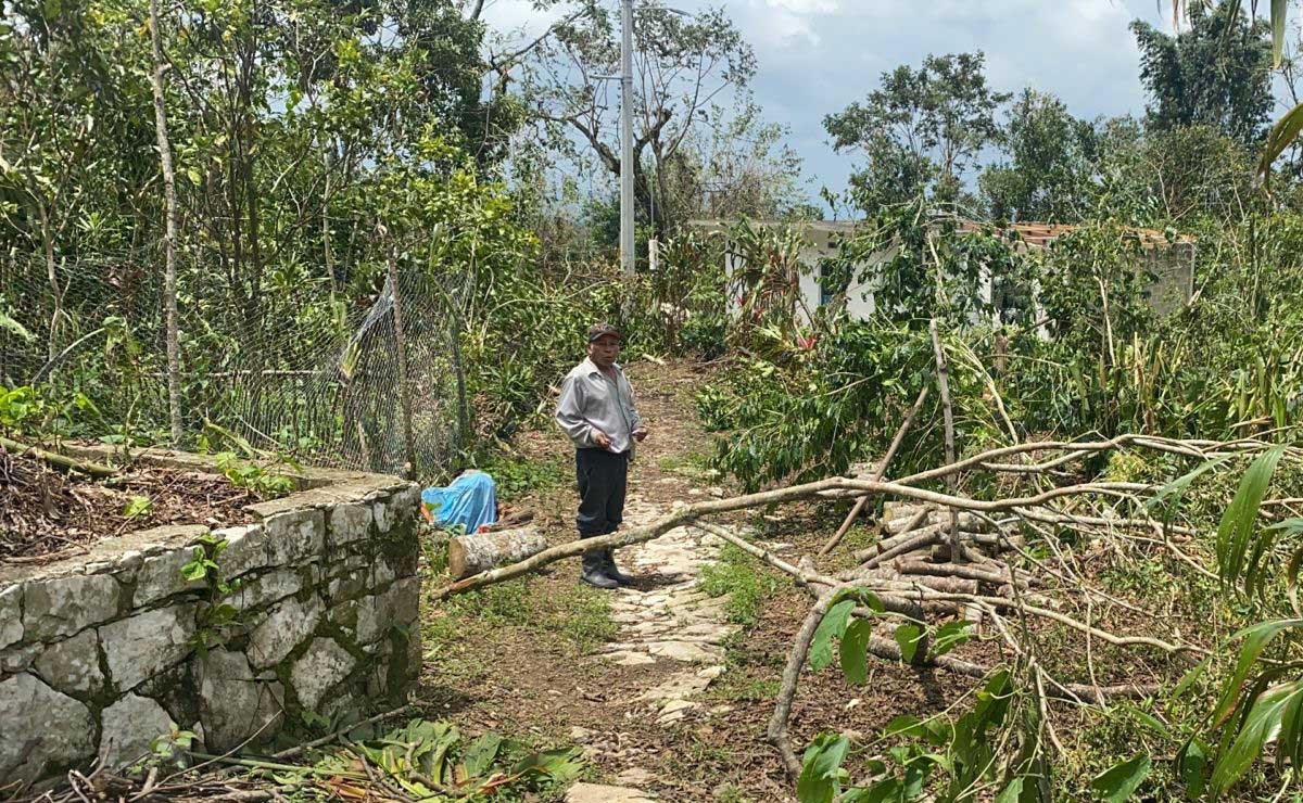 Detectan tala clandestina en La Calera y zona de la Malinche
