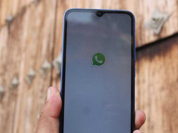 En Puebla operan más de 300 grupos en línea donde se comparten "packs”, asegura Olimpia Coral