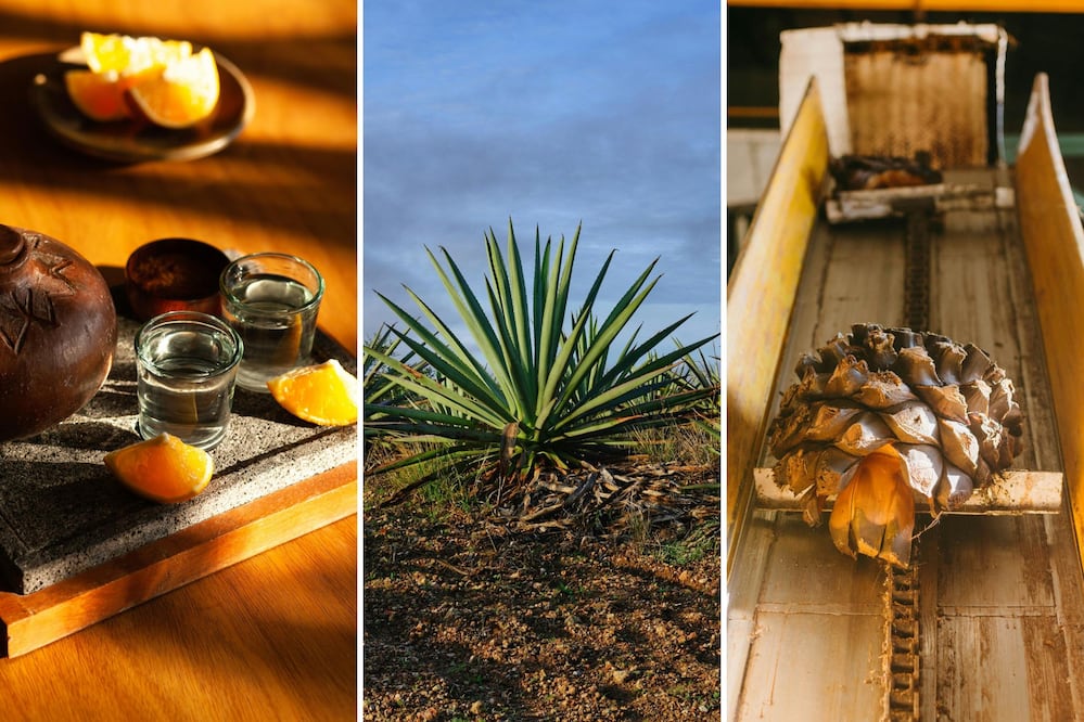 En un Pueblo Mágico de Puebla puedes beber un excelente mezcal | Foto: Pexels