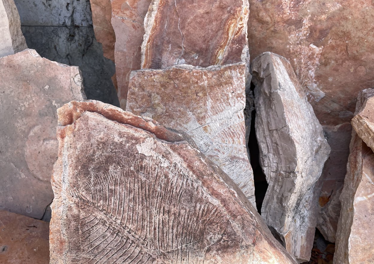 La Cantera de Tlayúa se encuentra en el municipio de Tepexi de Rodríguez | Foto: atlasmateriaprima