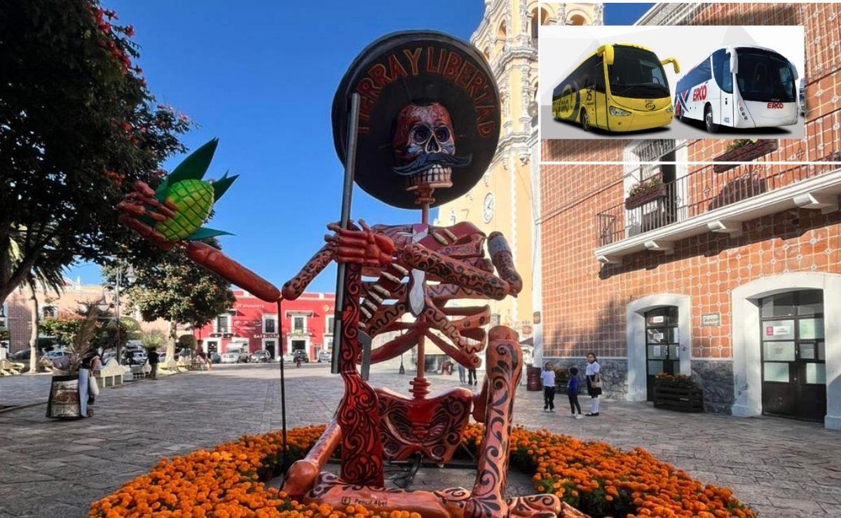 La exhibición estará disponible hasta el 10 de noviembre | Foto: Facebook Ayuntamiento de Atlixco