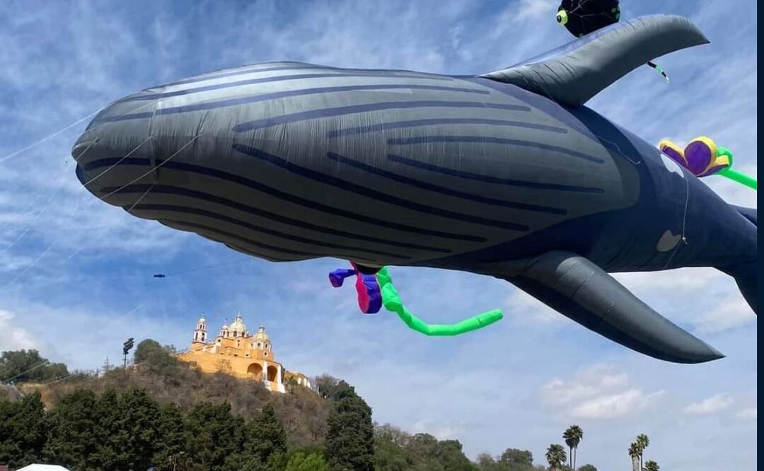 Volarte Festival regresará a Puebla para el 2025 | Foto: Facebook Volarte festival