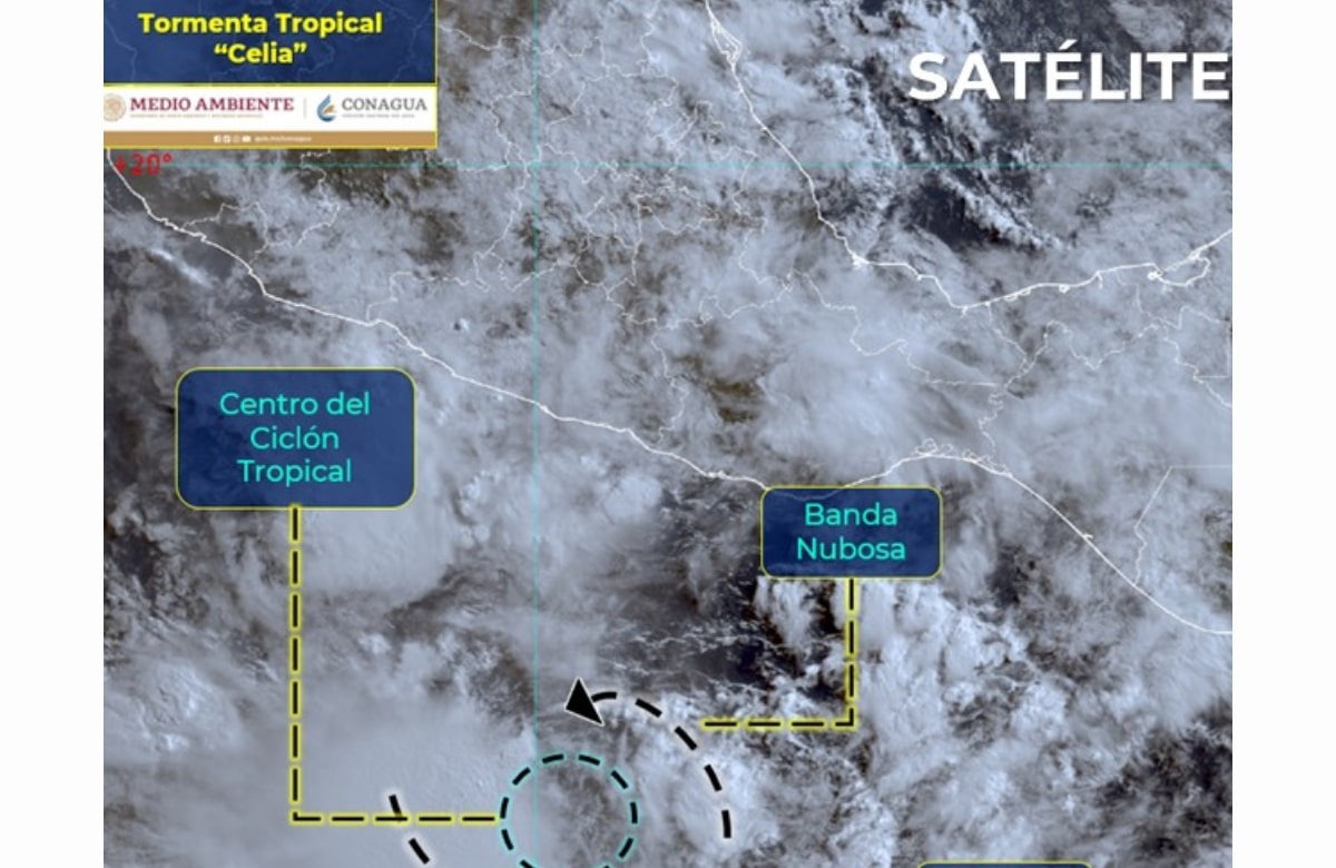“Celia” se intensificó a tormenta tropical; provocará lluvias torrenciales en Guerrero, Oaxaca, Puebla y Veracruz