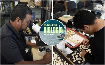 Laboratorio de Paleobiología de la BUAP, evidencia de vida del pasado para interpretar el presente y vislumbrar un futuro