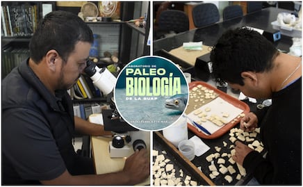 Laboratorio de Paleobiología de la BUAP, evidencia de vida del pasado para interpretar el presente y vislumbrar un futuro