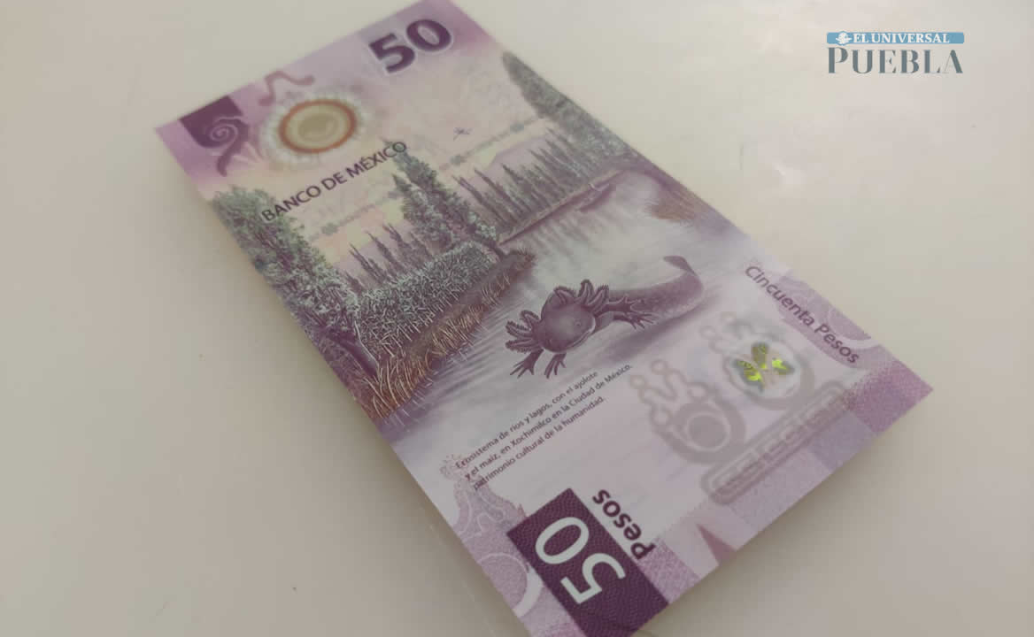 El nuevo billete de 50 pesos es el más escaso de la familia G. Foto: Demian Magallán