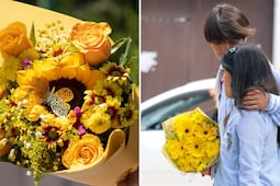 ¿Por qué todos regalan flores amarillas en septiembre? Este es su significado