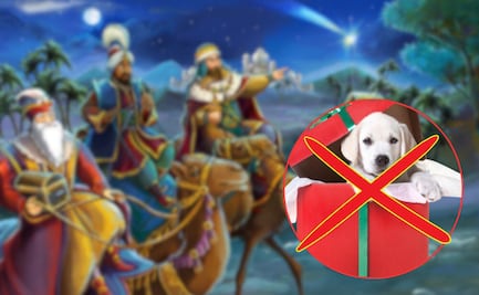 5 razones por las que no hay que regalar mascotas en Día de Reyes
